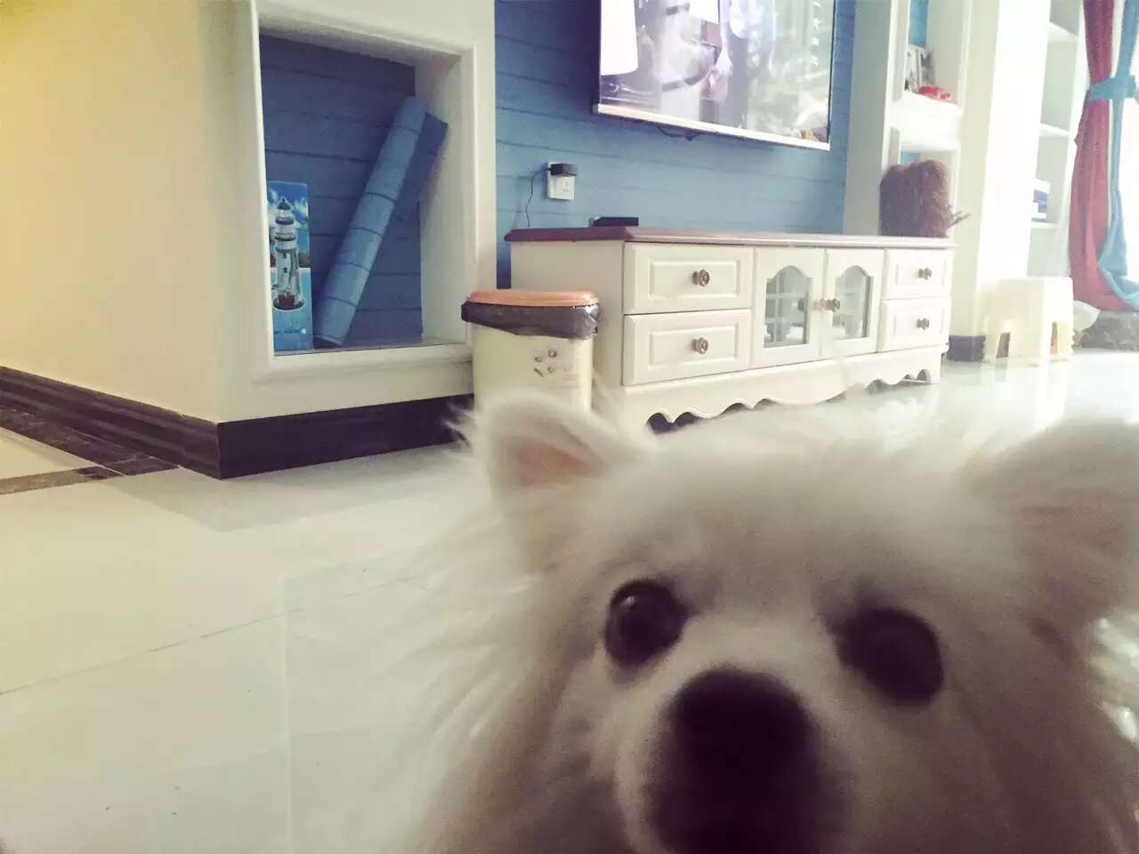 成都江水平装修队龙湖金楠天街装修完工毕业照