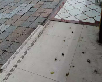 如果这个是我们的师傅做的，你可以让转回来而且罚款500