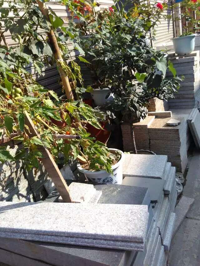 成都装修建材乱像闲聊