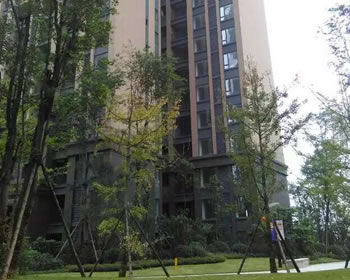 成都装修棠湖柏林城南郡开工大吉