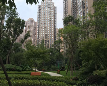 签约交大建设派、南城逸家、文星花园