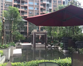 成都签约南城都汇李先生家