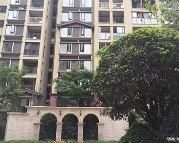 签约新希望皇冠国际熊先生家