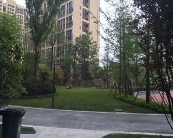 签约成都东原时光道小刘家