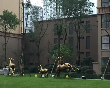 成都装修签约天悦城、格陵兰