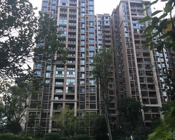 签约交大建设派、美城悦荣府、光华锦苑、万树森林